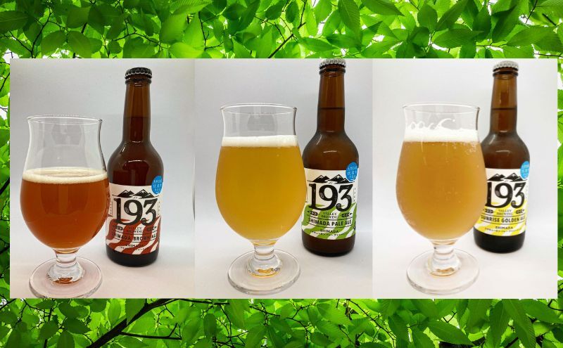 193 クラフトビール  定番3本セット (シズオカゴールデンエール/緑茶ペールエール/ほうじ茶ブラウンエール)  クラフトビール ご当地ビール ローカルビール 地ビール お酒 ビール ビアホップおおいがわ イクミバレーブリューイング