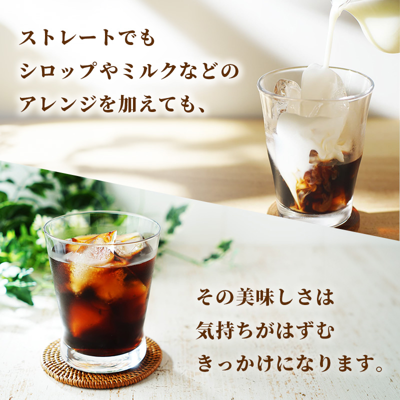 ネスカフェ エクセラ ボトルコーヒー 甘さひかえめ 900ml 2ケース 24本 ペットボトル 珈琲 コーヒー アイスコーヒー 微糖 微糖コーヒー コーヒー飲料 飲料 ドリンク 飲み物 箱買い 静岡 静岡県 島田市