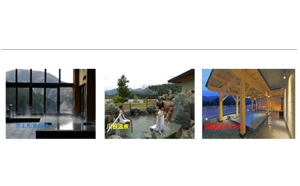 温泉めぐり利用券11枚 チケット 温泉利用券