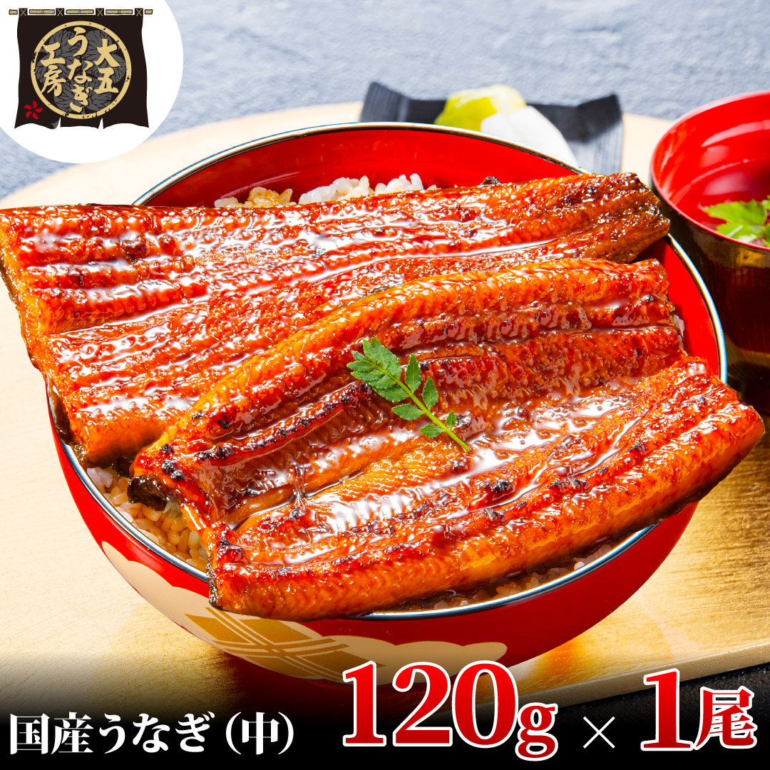 うなぎ蒲焼 120g×1尾 うなぎ ウナギ 鰻 蒲焼 蒲焼き冷凍 国産 大五 大五通商 静岡 島田市