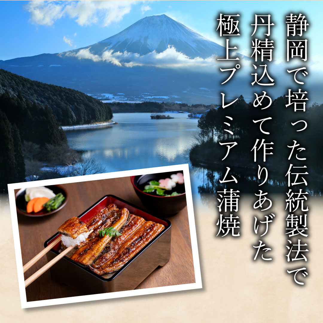 うなぎ蒲焼 120g×1尾 うなぎ ウナギ 鰻 蒲焼 蒲焼き冷凍 国産 大五 大五通商 静岡 島田市