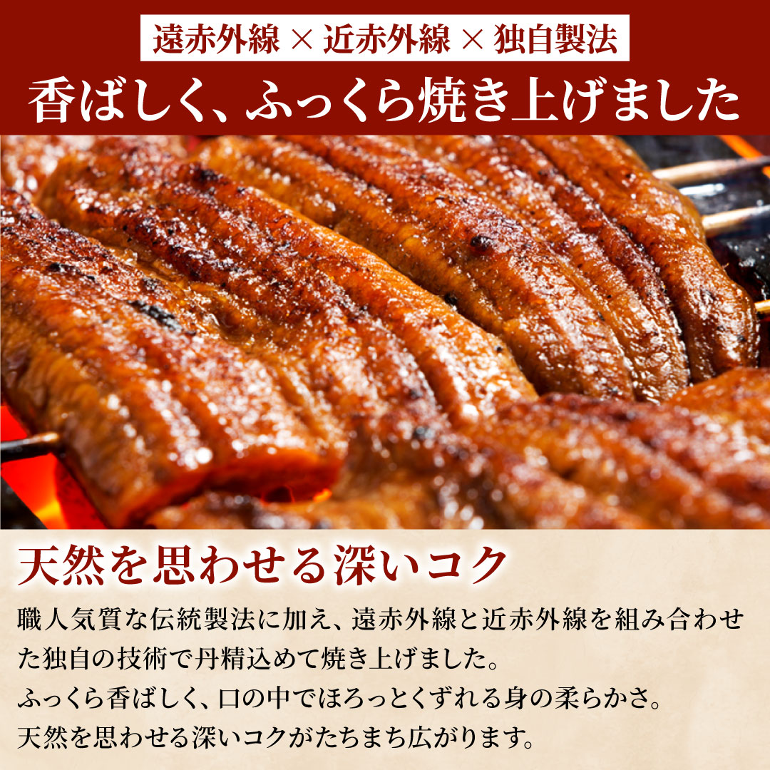 うなぎ蒲焼 120g×1尾 うなぎ ウナギ 鰻 蒲焼 蒲焼き冷凍 国産 大五 大五通商 静岡 島田市