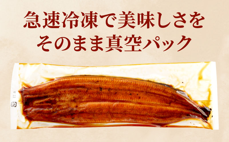 うなぎ蒲焼 120g×1尾 うなぎ ウナギ 鰻 蒲焼 蒲焼き冷凍 国産 大五 大五通商 静岡 島田市