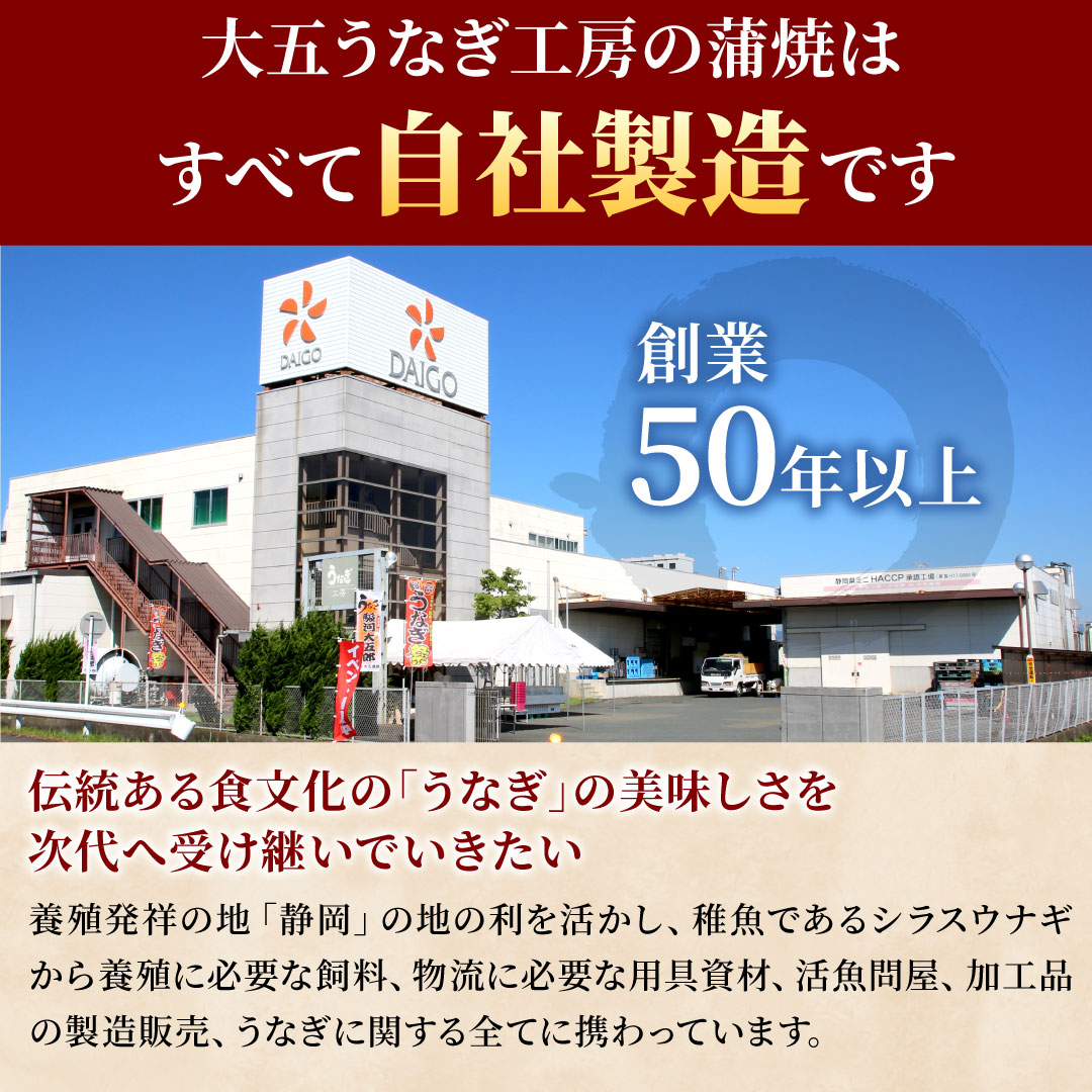 うなぎ蒲焼 120g×1尾 うなぎ ウナギ 鰻 蒲焼 蒲焼き冷凍 国産 大五 大五通商 静岡 島田市