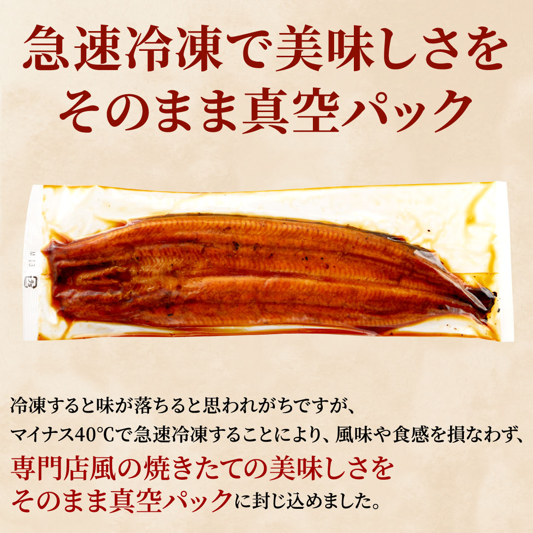 うなぎ蒲焼 120g×2尾(240g) うなぎ ウナギ 鰻 蒲焼 蒲焼き冷凍 国産 大五 大五通商 静岡 島田市