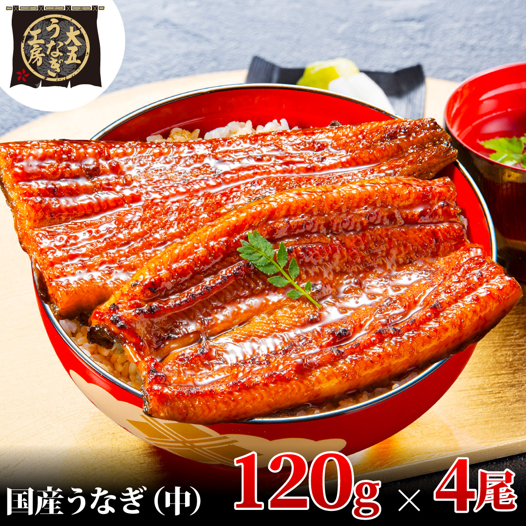 うなぎ蒲焼 120g×4尾(480g) うなぎ ウナギ 鰻 蒲焼 蒲焼き冷凍 国産 大五 大五通商 静岡 島田市