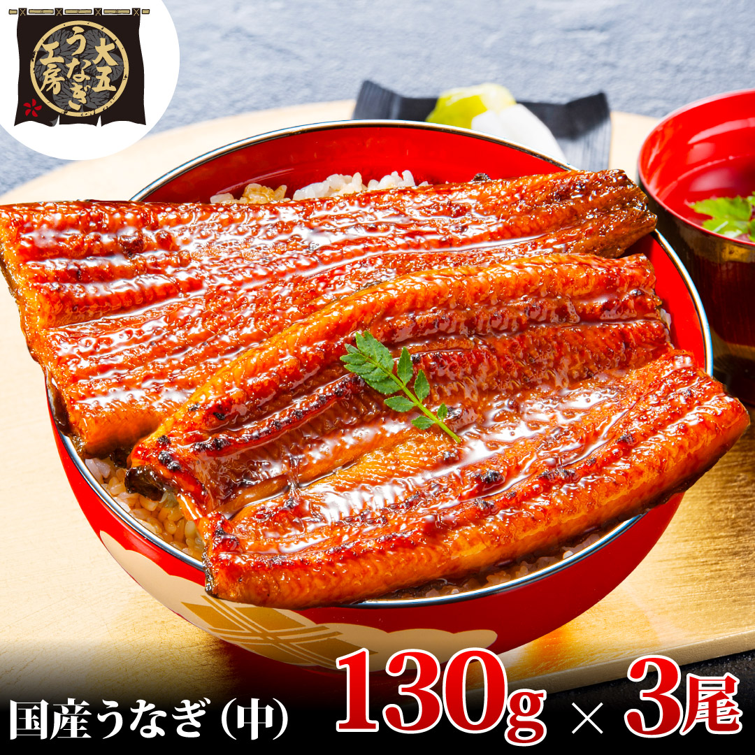 うなぎ蒲焼 130g×3尾(390g) うなぎ ウナギ 鰻 蒲焼 蒲焼き冷凍 国産 大五 大五通商 静岡 島田市