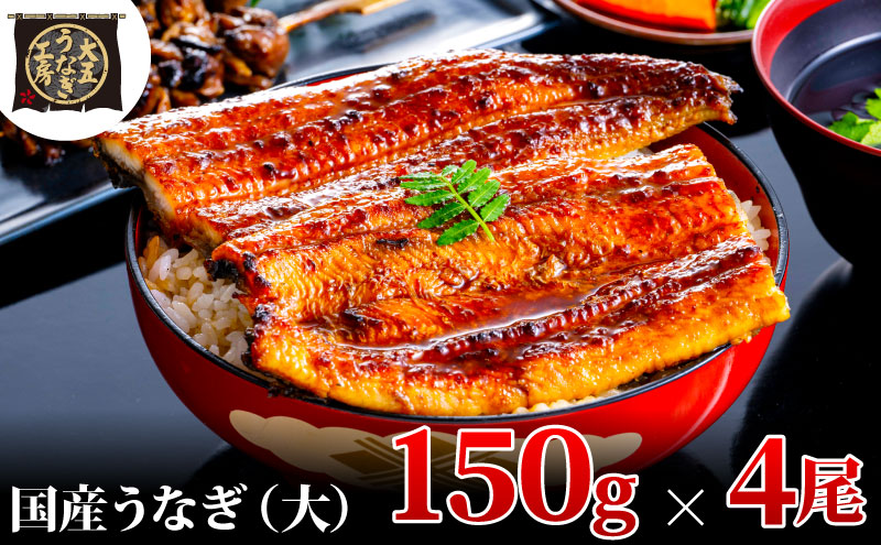 うなぎ蒲焼 150g×4尾(600g) うなぎ ウナギ 鰻 蒲焼 蒲焼き冷凍 国産 大五 大五通商 静岡 島田市