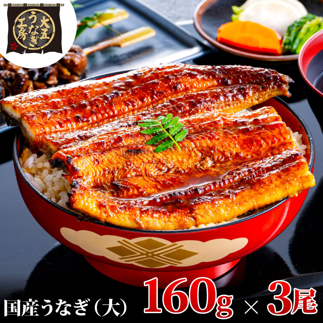 うなぎ蒲焼 160g×3尾(480g) うなぎ ウナギ 鰻 蒲焼 蒲焼き冷凍 国産 大五 大五通商 静岡 島田市