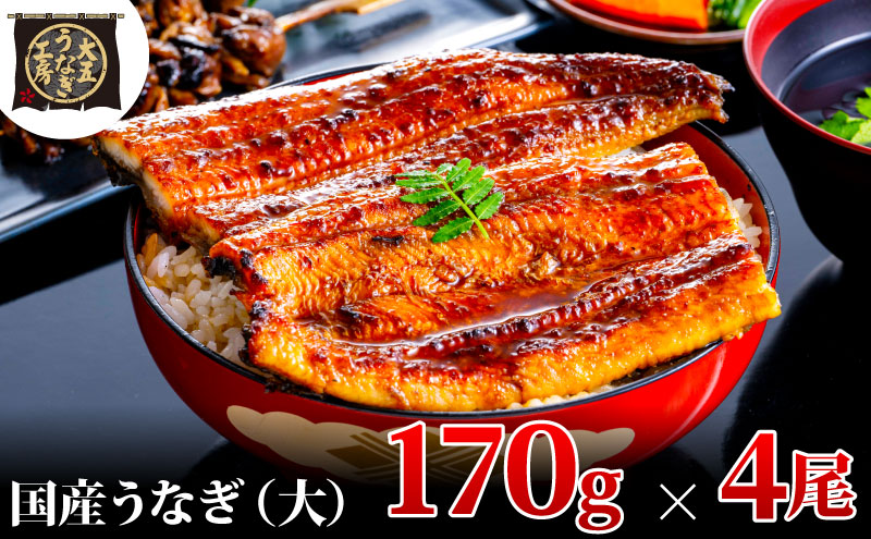 うなぎ蒲焼 170g×4尾(680g) うなぎ ウナギ 鰻 蒲焼 蒲焼き冷凍 国産 大五 大五通商 静岡 島田市