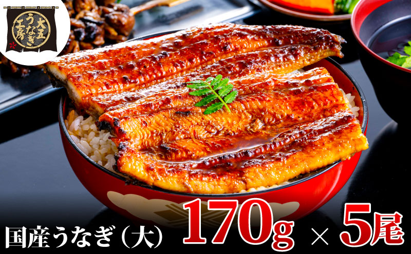 うなぎ蒲焼 170g×5尾(850g) うなぎ ウナギ 鰻 蒲焼 蒲焼き冷凍 国産 大五 大五通商 静岡 島田市