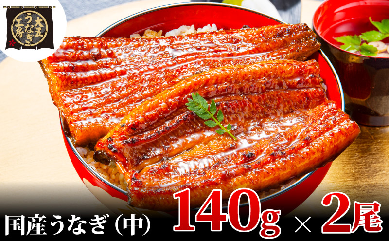 うなぎ蒲焼 140g×2尾(280g) うなぎ ウナギ 鰻 蒲焼 蒲焼き冷凍 国産 大五 大五通商 静岡 島田市