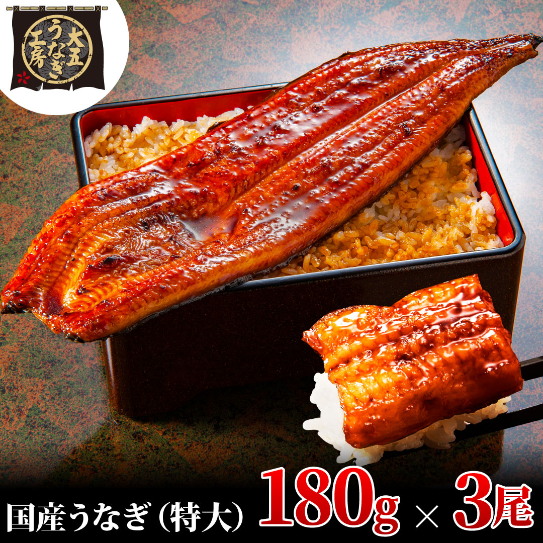 うなぎ蒲焼 180g×3尾(540g) うなぎ ウナギ 鰻 蒲焼 蒲焼き冷凍 国産 大五 大五通商 静岡 島田市