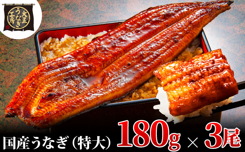 うなぎ蒲焼 180g×3尾(540g) うなぎ ウナギ 鰻 蒲焼 蒲焼き冷凍 国産 大五 大五通商 静岡 島田市