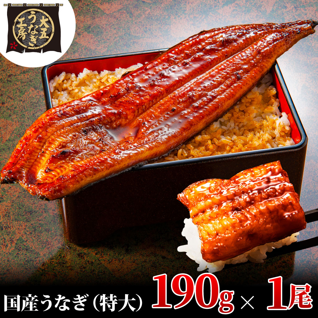 うなぎ蒲焼 190g×1尾 うなぎ ウナギ 鰻 蒲焼 蒲焼き冷凍 国産 大五 大五通商 静岡 島田市