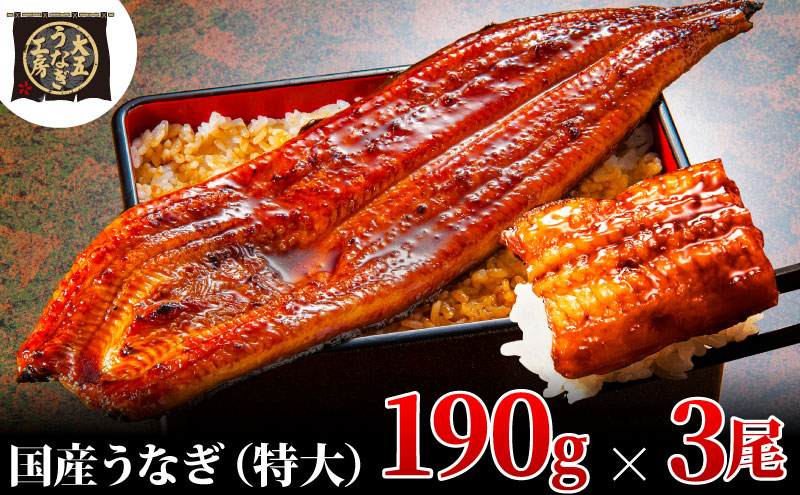 うなぎ蒲焼 190g×3尾(570g) うなぎ ウナギ 鰻 蒲焼 蒲焼き冷凍 国産 大五 大五通商 静岡 島田市