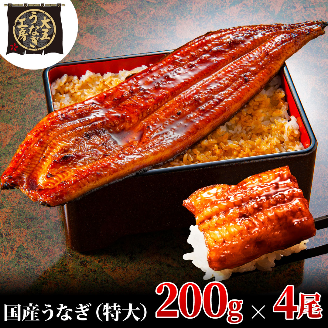 うなぎ蒲焼 200g×4尾(800g) うなぎ ウナギ 鰻 蒲焼 蒲焼き冷凍 国産 大五 大五通商 静岡 島田市