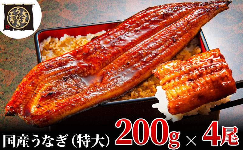 うなぎ蒲焼 200g×4尾(800g) うなぎ ウナギ 鰻 蒲焼 蒲焼き冷凍 国産 大五 大五通商 静岡 島田市
