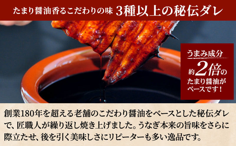 うなぎ蒲焼 200g×5尾(1kg) うなぎ ウナギ 鰻 蒲焼 蒲焼き冷凍 国産 大五 大五通商 静岡 島田市