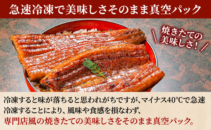 先行受付 【6月上旬配送】 うなぎ蒲焼 120g×1尾 うなぎ 鰻 蒲焼 蒲焼き 大五通商 静岡 島田市