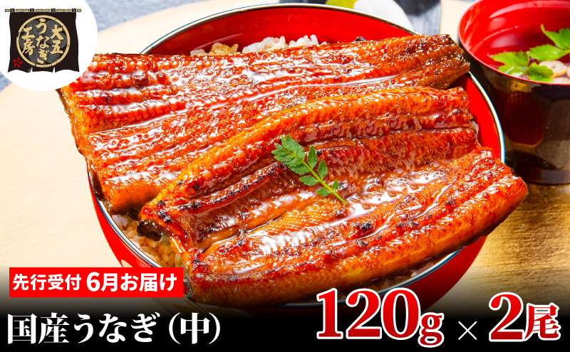 先行受付 【6月上旬配送】 うなぎ蒲焼 120g×2尾(240g) うなぎ 鰻 蒲焼 蒲焼き 大五通商 静岡 島田市