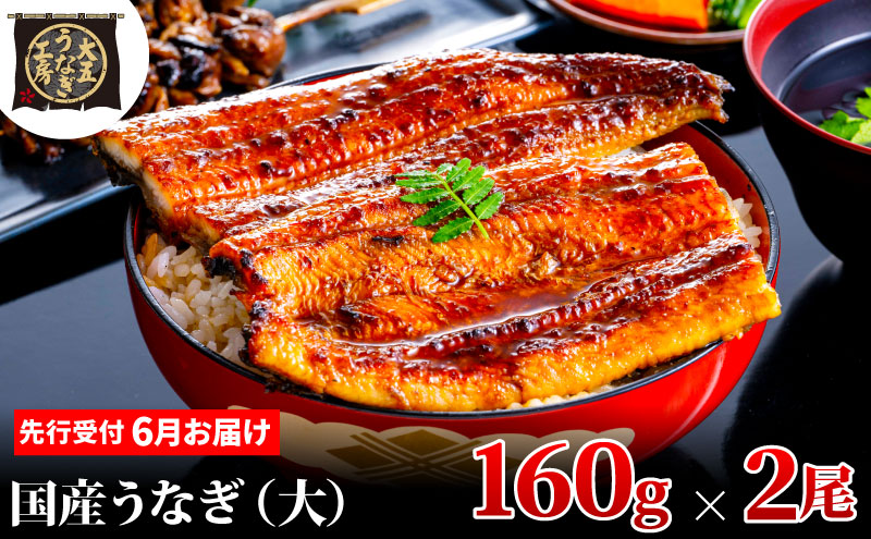 先行受付 【6月上旬配送】 うなぎ蒲焼 160g×2尾(320g) うなぎ 鰻 蒲焼 蒲焼き 大五通商 静岡 島田市