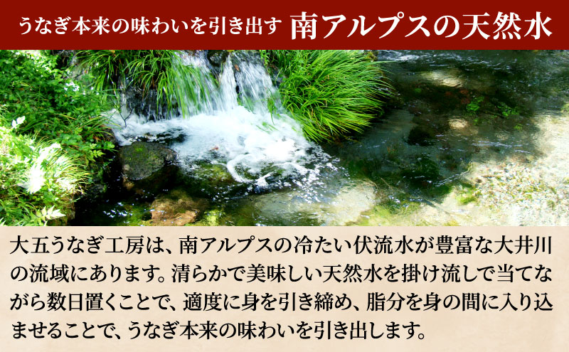 先行受付 【6月上旬配送】 うなぎ蒲焼 160g×2尾(320g) うなぎ 鰻 蒲焼 蒲焼き 大五通商 静岡 島田市