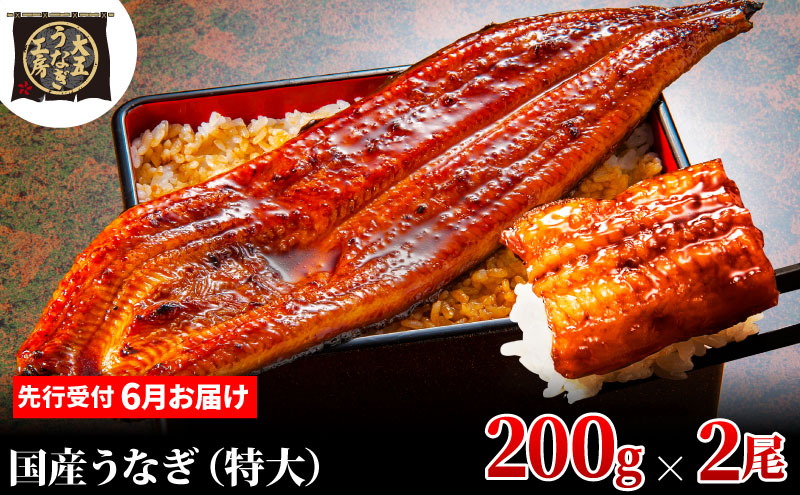 先行受付 【6月上旬配送】 うなぎ蒲焼 200g×2尾(400g) うなぎ 鰻 蒲焼 蒲焼き 大五通商 静岡 島田市