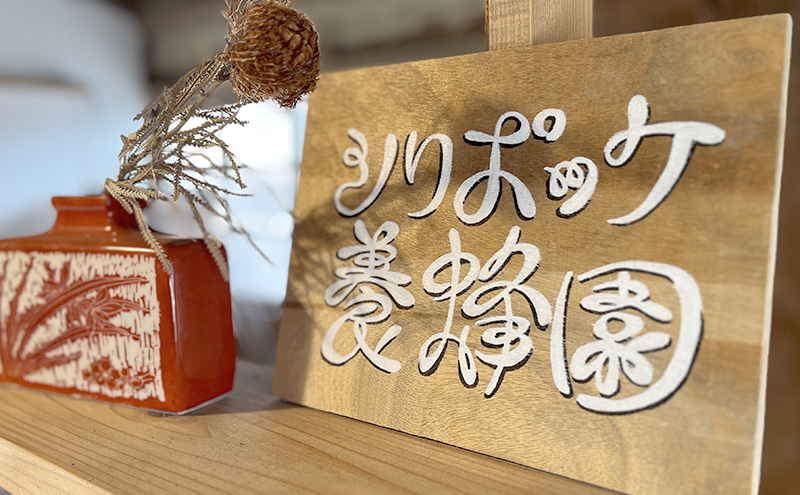 種類おまかせ！季節の天然はちみつ おすすめ食べ比べ2種セット（中瓶220g×2個）ハチミツ 蜂蜜 セット 島田市 静岡県