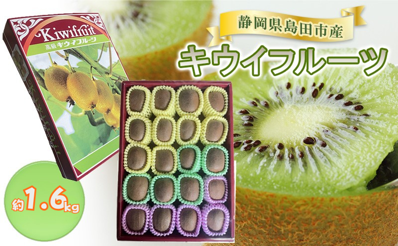 キウイフルーツ　約1.6kg キウイフルーツ 箱 フルーツ 果物 ギフト 贈答 お歳暮 お年賀 静岡県 島田市
