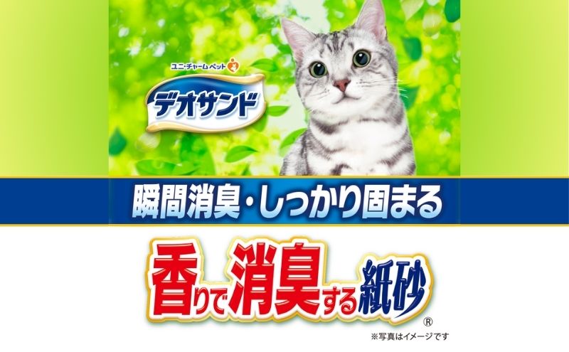 猫 トイレ デオサンド 香りで消臭する紙砂 5L×6袋 ナチュラルグリーンの香り 猫砂 トイレ砂 猫用トイレ砂 砂 紙 ペレット 匂い 固まる 消臭 臭い消し ペット ペット用品 グッズ おしっこ うんち 対策 消耗品 猫用品 日用品 ねこ ネコ 匂い消し 静岡