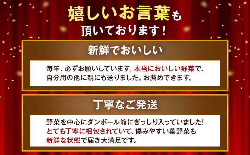 新鮮獲れたて！ まんさいかん島田 季節の野菜詰め合わせ セット 　 野菜セット 旬の野菜 旬 野菜詰め合わせ 野菜詰め合わせセット 産地直送 静岡 島田市