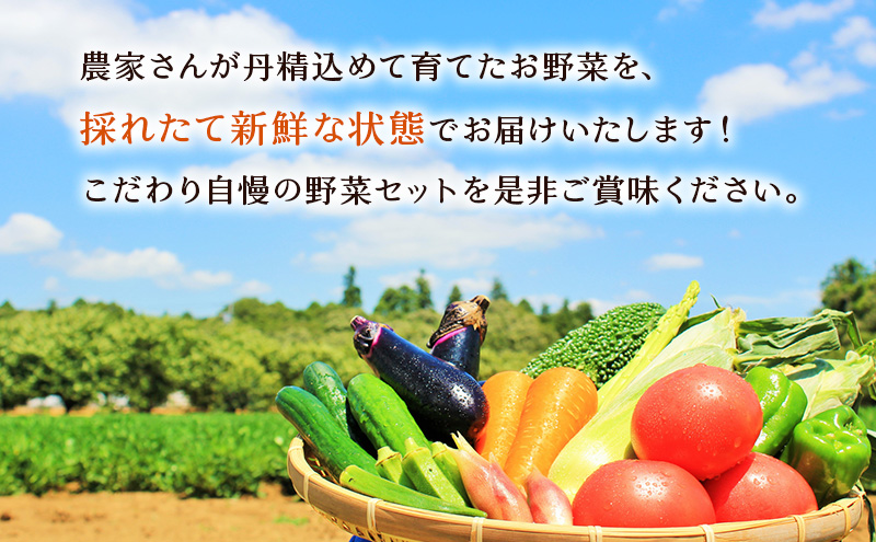 新鮮獲れたて！ まんさいかん島田 季節の野菜詰め合わせ セット 　 野菜セット 旬の野菜 旬 野菜詰め合わせ 野菜詰め合わせセット 産地直送 静岡 島田市