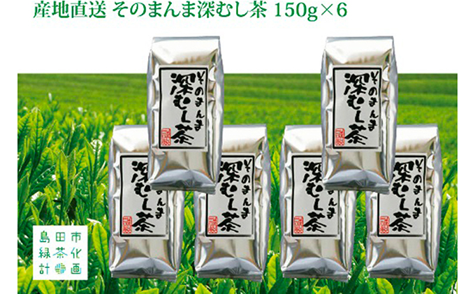 産地直送 そのまんま深むし茶 150g 6パック セット 詰め合わせ 深蒸し煎茶 深蒸し茶 深蒸し 煎茶 緑茶 日本茶 お茶 茶 お茶っぱ 茶葉 飲み物 飲料 ドリンク 静岡茶 静岡 静岡県 島田市