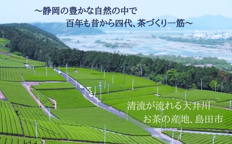 まろやか煎茶ティーバッグ 里山のしずく ３本 お茶 煎茶 ティーバッグ TB オススメ お湯出し 静岡 島田市