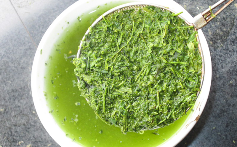 お茶 旬の煎茶 玉翠 100g×5 ミル芽 厳選 日本茶 旨味 甘み ブレンド コク 渋み 通好み 贈り物 ギフト プレゼント 島田市 静岡県