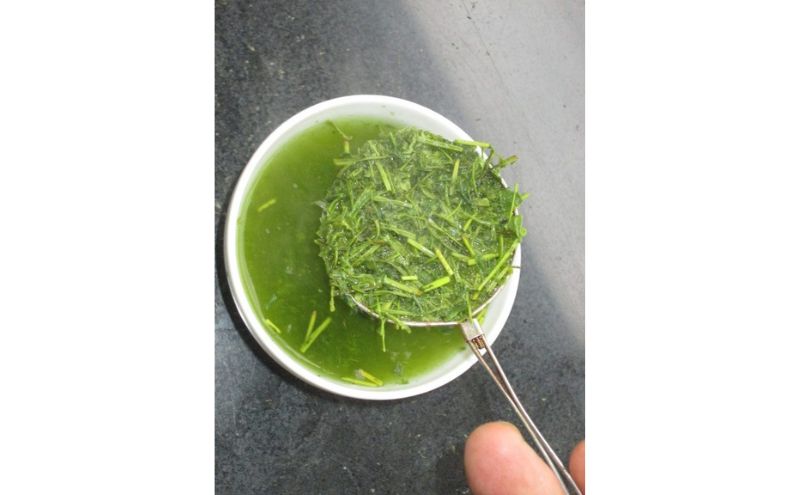 高級茎茶 ちゃばしら 100g×10 茎茶 茶葉 水出し 静岡県 島田市