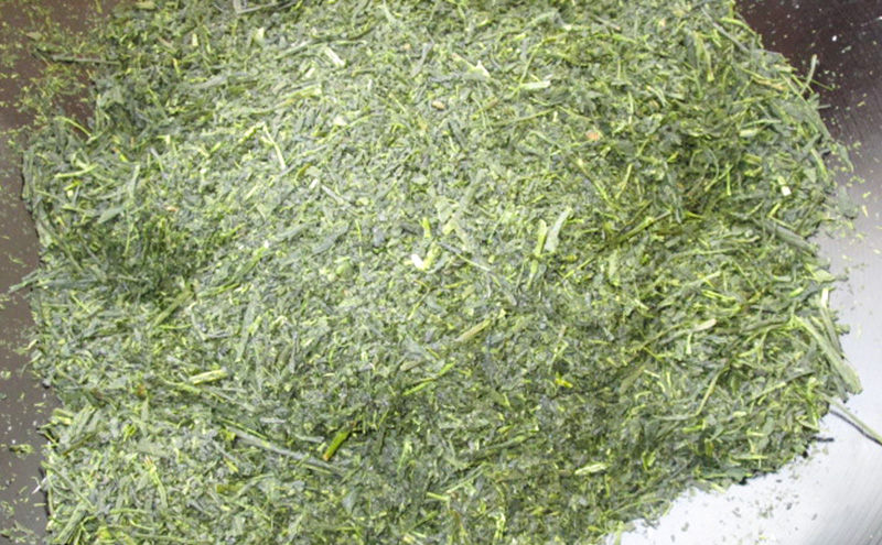 お茶 食卓の常茶 初摘 200g×20袋 茶 日本茶 茶葉 旨味 甘み ブレンド コク 渋み 通好み 贈り物 ギフト プレゼント 島田市 静岡県