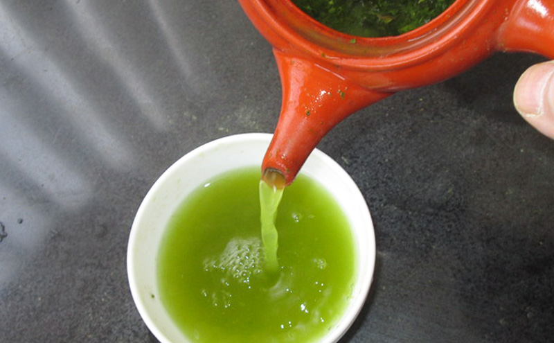 お茶 食卓の常茶 初摘 200g×20袋 茶 日本茶 茶葉 旨味 甘み ブレンド コク 渋み 通好み 贈り物 ギフト プレゼント 島田市 静岡県