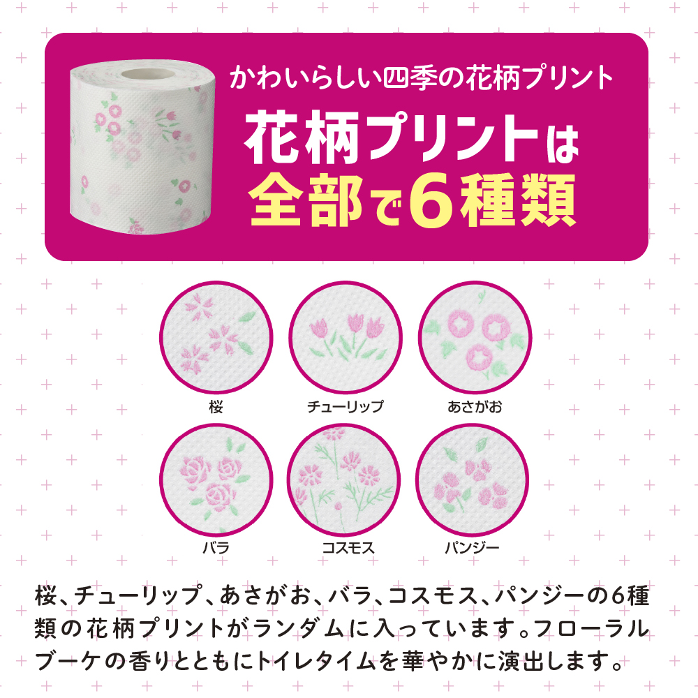 定期便 年2回 6ヶ月毎のお届け エリエール シャワートイレのためにつくった吸水力が2倍のトイレットペーパー フラワープリント香水付 12ロール×6個（72ロール）×2回発送（計144ロール）