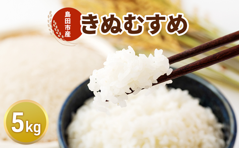 お米 5kg（きぬむすめ） 米 コメ 精米 白米 ご飯 静岡県 島田市 ※配送不可:北海道、沖縄、離島