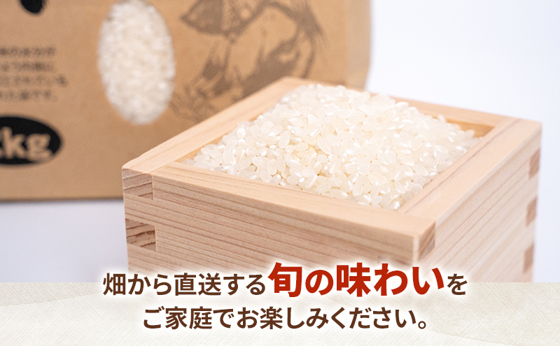 ãç±³ 10kgïŒãã¬ãããïŒ ç±³ ã³ã¡ 粟米 çœç±³ ã飯 é岡ç å³¶ç°åž â»é
éäžå¯:åæµ·éãæ²çžãé¢å³¶