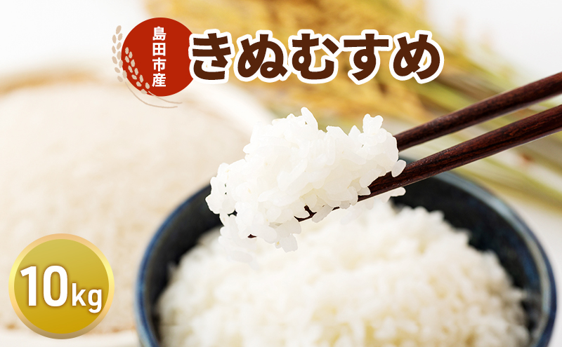 ãç±³ 10kgïŒãã¬ãããïŒ ç±³ ã³ã¡ 粟米 çœç±³ ã飯 é岡ç å³¶ç°åž â»é
éäžå¯:åæµ·éãæ²çžãé¢å³¶