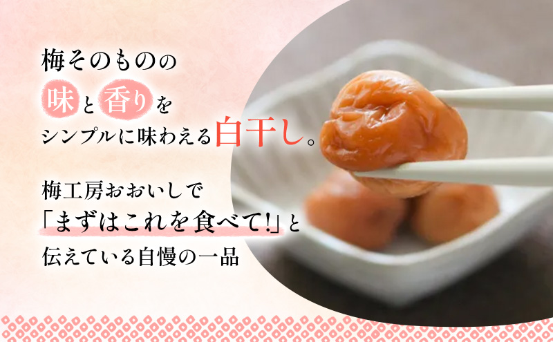 【定期便6ヶ月】八房梅使用 ごはんがおいしい！白干し梅 500g×2パック 梅干し うめぼし 白干し 塩漬け おにぎり 弁当 島田市 静岡県