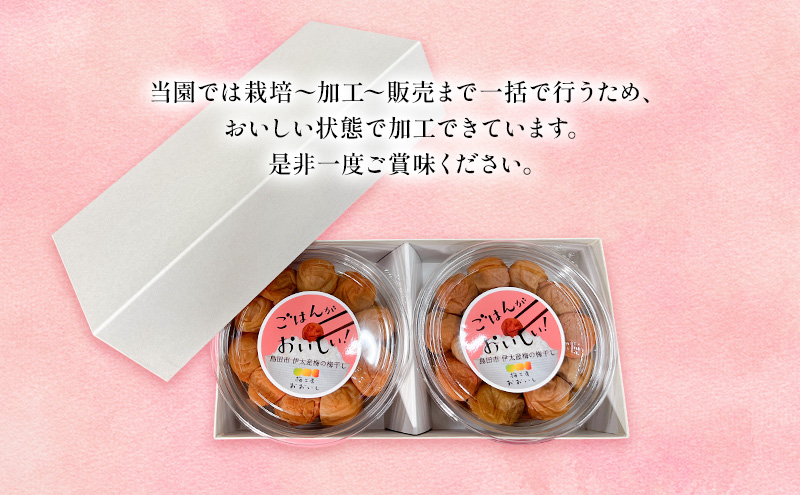 【定期便12ヶ月】八房梅使用 ごはんがおいしい！白干し梅 500g×2パック 梅干し うめぼし 白干し 塩漬け おにぎり 弁当 島田市 静岡県