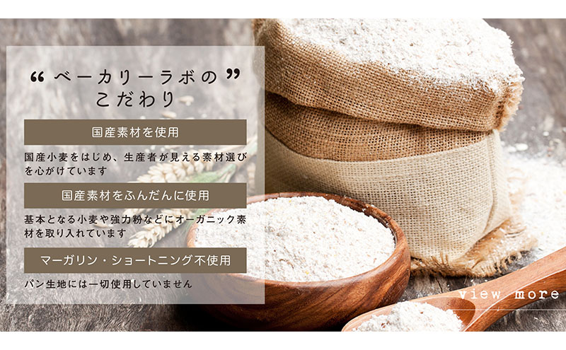 国産小麦使用 bakery laboのおすすめデニッシュ おまかせ2本セット パン デニッシュ ギフト セット 冷凍 静岡 静岡県 島田市