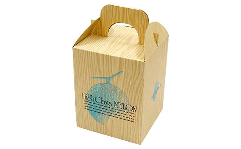 メロン 7月納品 静岡県産 アールスメロン 箱入り 1玉(約1.5kg) 果物 くだもの 果実 養液栽培 ポット 希少 甘み 島田市 静岡県