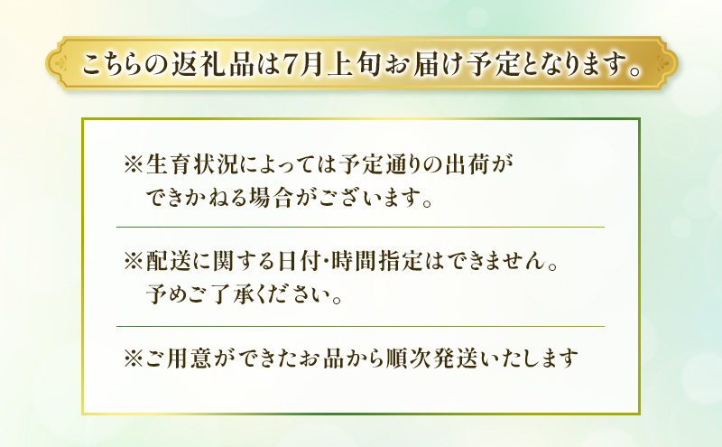 メロン 7月納品 静岡県産 アールスメロン 箱入り 1玉(約1.5kg) 果物 くだもの 果実 養液栽培 ポット 希少 甘み 島田市 静岡県
