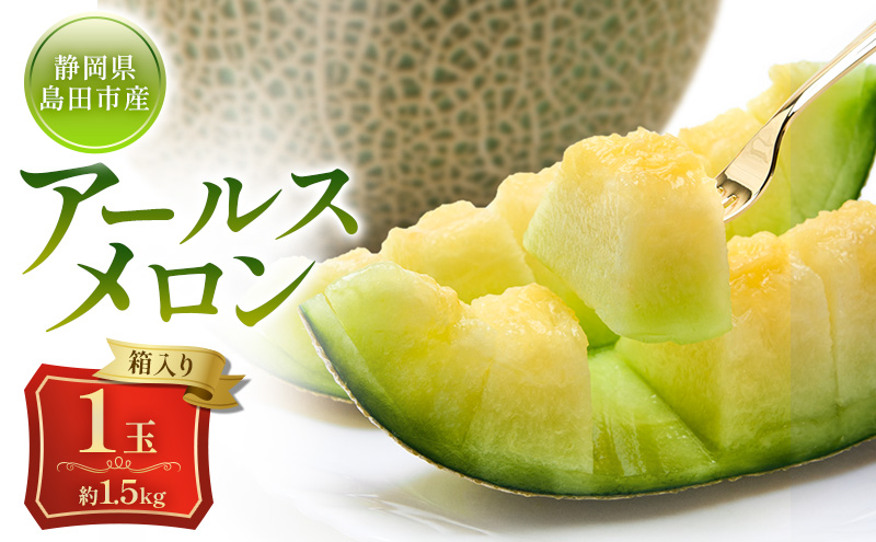 メロン 8月納品 静岡県産 アールスメロン 箱入り 1玉(約1.5kg) 果物 くだもの 果実 養液栽培 ポット 希少 甘み 島田市 静岡県
