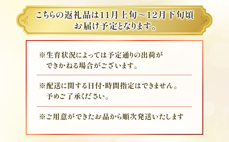 トマト 静岡県産 大玉トマト 約2kg 野菜 とまと Dトレイ栽培方式 果肉 甘味 酸味 濃厚 島田市 静岡県